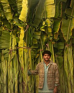 Ajay bhide